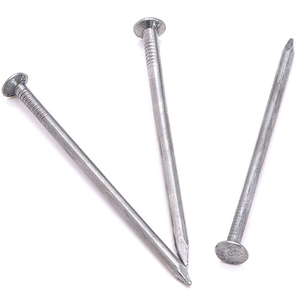 Common Iron Nails